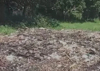Tumpukan sampah dari Pasar Tanjung yang dibuang di Desa Patemon, Jember, akhirnya diangkut setelah viral di media sosial dan memicu keresahan warga.