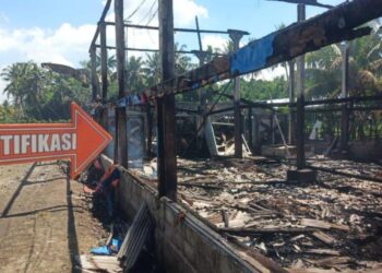 Kandang Ayam di Lombok Timur Terbakar, 9.500 Ekor Mati dan Rugi Rp 600 Juta