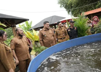 Pemkot Makassar menggencarkan urban farming hingga tingkat kelurahan untuk memperkuat ketahanan pangan dan memasok kebutuhan program MBG.