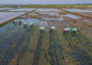 Sejumlah Wilayah di Lombok Terancam Banjir Rob, BMKG Keluarkan Imbauan
