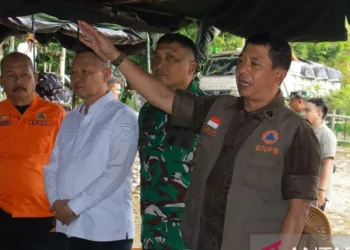 BNPB Tangani 4 Kubangan Pasca Gempa Sigi di Kawasan Taman Nasional Lore Lindu