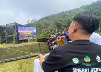 BBKSDA Jabar Lepasliarkan Dua Elang Brontok Langka Demi Keseimbangan Ekosistem