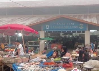 Tak Terserap Pasar, Harga Cabai dan Bawang di Lebak Anjlok