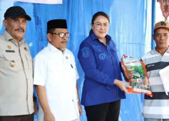 Petani Jagung di Donggala Sulit Akses Modal, Koperasi RMP Beri Jalur Khusus