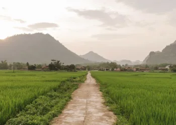Cegah Defisit Beras, Kabupaten Buol Cetak Sawah Baru 2.000 Hektare