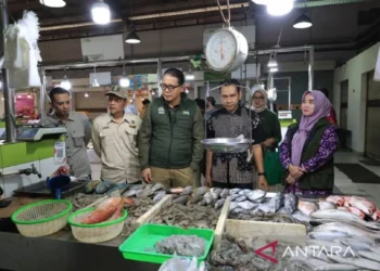 Pengawasan Pangan Tangerang Diperkuat dengan Pojok Uji Gratis di 21 Pasar