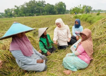 Jatim mencatat potensi produksi padi 7,71 juta ton GKG pada Januari–Juli 2026, tertinggi di Indonesia.