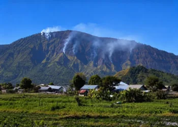 Kebakaran hutan dan lahan di Bukit Sempana Lombok Timur meluas hingga 116 hektare.