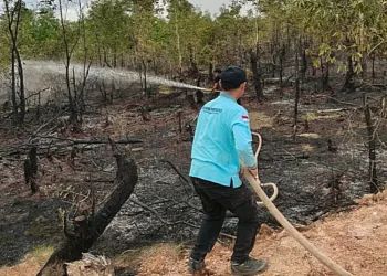 BNPB memastikan tim gabungan mengintensifkan pemadaman karhutla seluas 5,3 hektare di Kabupaten Banjar Kalsel.
