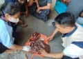 Pemkot Mataram Temukan 105 Kasus Cacing Hati pada Sapi Kurban 2 Pemkot Mataram melalui Dinas Pertanian menemukan 105 kasus cacing hati dan satu kasus kista hati pada sapi kurban saat Iduladha 1447 Hijriah dan Hari Tasyrik.