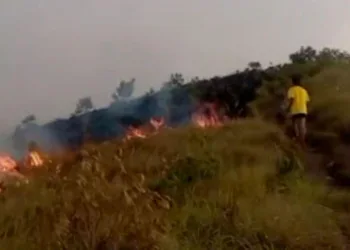 Bukit Sempana di Kaki Gunung Rinjani Terbakar, Jalur Pendakian Ditutup