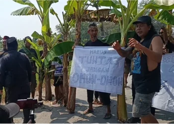 Warga Blora selatan kembali menggelar aksi jilid 2 menanam pohon pisang di jalan provinsi Randublatung–Cepu yang rusak, menuntut perbaikan jalan segera.