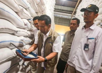 Bulog Yogyakarta Beli Gabah Petani Berbagai Kualitas Rp6.500 per Kilogram