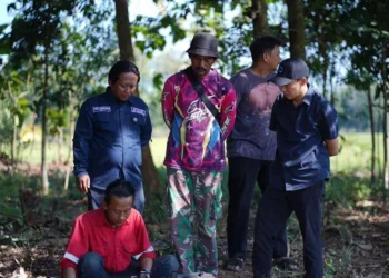 Subang Dilanda Kekeringan, Kementan Kirim Pompa ke 6 Kecamatan