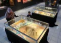 Museum NTB Bakal Hadirkan Pameran Imersif Sejarah Letusan Gunung Tambora