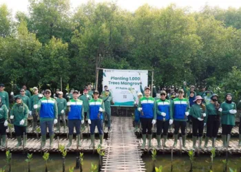 Kurangi Abrasi, Pesisir Pakuhaji Tangerang Ditanami 1000 Mangrove