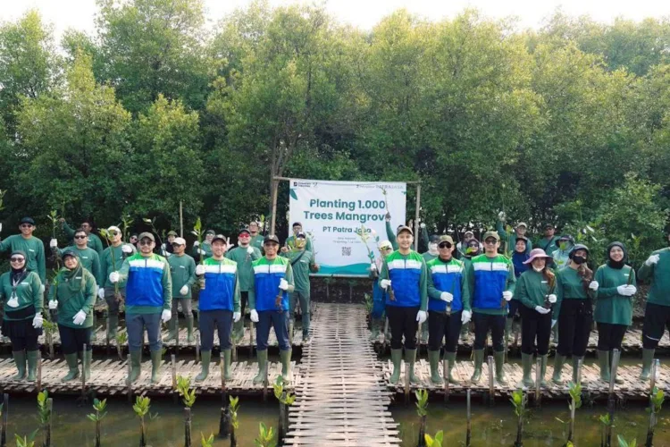 PT Patra Jasa menanam 1.000 bibit mangrove di wilayah pesisir Pantai KSS, Desa
Sukawali, Kecamatan Pakuhaji, Kabupaten Tangerang, Banten, Selasa (7/7/2026).
ANTARA/LINGKAR NETWORK.