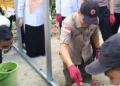 Pemulihan Gempa Sigi: 50 Unit Huntara Dibangun, 199 Unit Baru Diusulkan 2 Pemulihan Gempa Sigi: 50 Unit Huntara Dibangun, 199 Unit Baru Diusulkan