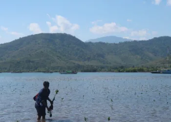 Indonesia Butuh Rp5000 Triliun untuk Tekan Karbon, NTB Siapkan BUMD Khusus