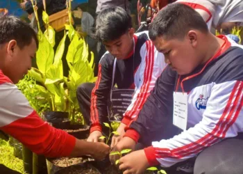Cegah Inflasi, 41 Ribu Siswa NTB Diwajibkan Tanam Cabai, Target Panen 20 Ton
