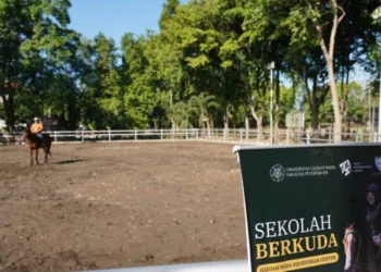 UGM Bangun Pusat Pelatihan Berkuda Standar Nasional, Terbuka untuk Umum