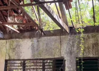 Tampak plafon dan atap salah satu raung kelar SD 02 Sukolilo rusak. (Red – Lingkar.news)