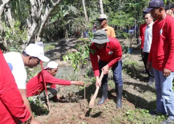 Ketua DPRD Jateng Sumanto menanam pohon di Desa Bakalan, Kecamatan Jumapolo, Kabupaten Karanganyar, belum lama ini. (Hms – Lingkar.news)