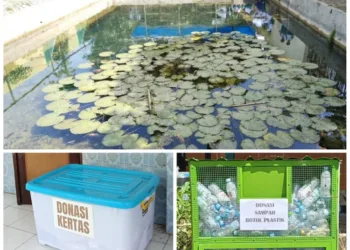 SMP Negeri 1 Pamotan Rembang menghadirkan inovasi Sekolah Adiwiyata dengan memanfaatkan limbah air wudu menjadi ekosistem kolam ikan