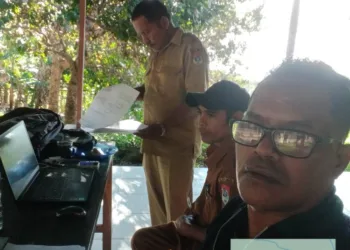 Proses pengimputan secara online