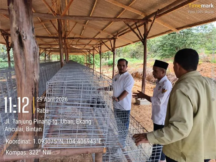 Bum Desa Ekang Anculai Optimalkan Ketahanan Pangan Melalui Sektor Peternakan Ayam Petelur 1 Bum Desa Ekang Anculai Optimalkan Ketahanan Pangan Melalui Sektor Peternakan Ayam Petelur