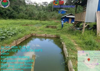 Kolam Ikan dan Kandang Ayam