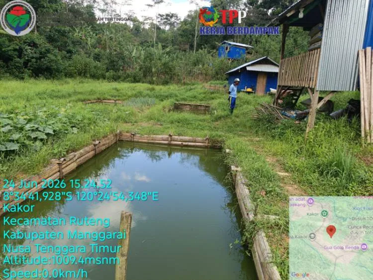 Kolam Ikan dan Kandang Ayam