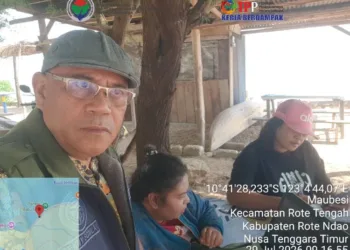 Pendampingan Pengisihan Data Sasaran