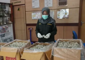 Balai Karantina NTB menerbitkan sertifikat sanitasi KH-2 untuk pengiriman 773,8 kg sarang burung walet asal Sumbawa ke Jawa guna memastikan bebas hama dan penyakit.