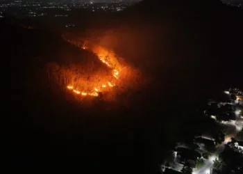 Karhutla menghanguskan sekitar 15 hektare kawasan Gunung Gombak di Ponorogo, api baru berhasil dipadamkan setelah delapan jam.