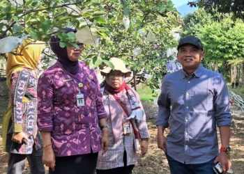 Ketua DPRD Jateng Sumanto mengapresiasi EK View Agroedupark di Kota Semarang sebagai contoh integrasi kebun benih, edukasi, dan wisata pertanian.