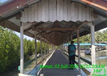 Sekdes Tomoli saat melakukan Peninjauan Lokasi Wisata