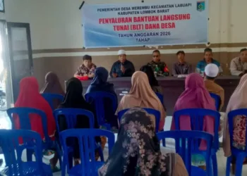 Penyaluran BLT DD Triwulan Pertama