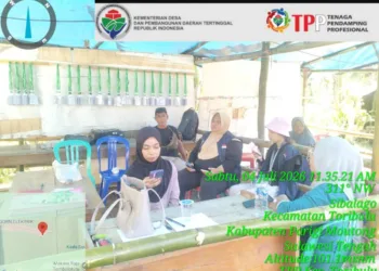 Kader Kesehatan dan Mahasiswa KKN Untad Gelar Sosialisasi PHBS di Desa Sibalago