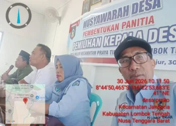 TPP Fasilitasi Musdes