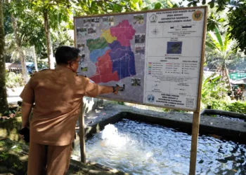 Kepala Desa Sesaot Saat Menunjukkan Peta Wisata Desa