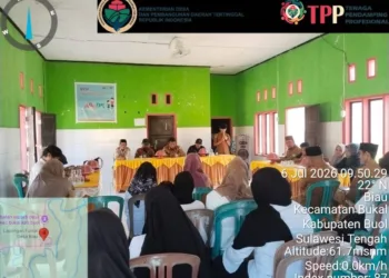 Situasi musdes rembuk stunting dan RKPDes 2027 desa biai