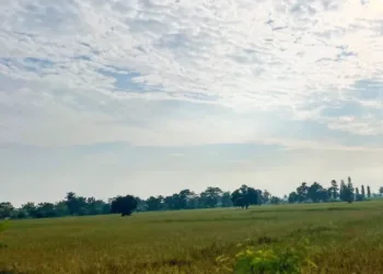 Pemkab Cirebon menetapkan status siaga darurat kekeringan hingga 30 September 2026, BPBD memetakan 14 kecamatan rawan.