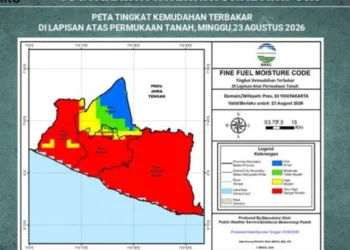 Seluruh Wilayah di DIY Masuk Kategori Awas Karhutla, Warga Diimbau tak Bakar Sampah