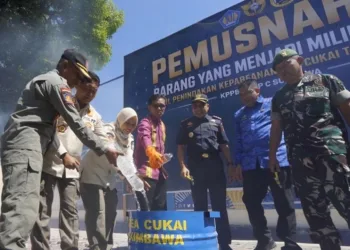 Bea Cukai Musnahkan Jutaan Rokok Ilegal di Sumbawa, Dorong Pelaku Usaha Legal