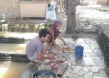 Dinas Perikanan Mataram Kucurkan Rp1,7 Miliar untuk 133 Kelompok Budidaya Ikan 2 Dinas Perikanan Mataram Kucurkan Rp1,7 Miliar untuk 133 Kelompok Budidaya Ikan