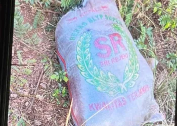Misteri Mayat dalam Karung di Depok Terungkap, Begini Kronologi Penangkapan Pelaku