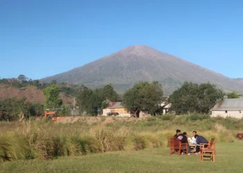 Menguak Potensi Ekonomi di Balik Warisan Budaya Kopi dan Tenun Khas Rinjani