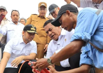 Mentan Tinjau Lahan Kekeringan di Gresik, Pastikan Pompa dan Sumur Dangkal Siap