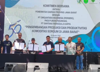 Pemprov Jabar dan PTDI Sepakati Kerja Sama Pengembangan Sorgum 50 Hektare